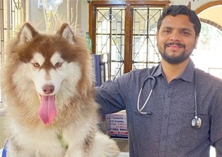 best pet consultation in vizag